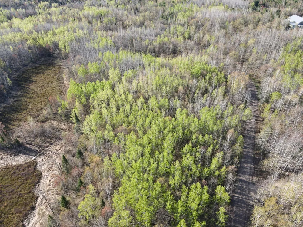 101 Baich Drive Coleraine, MN 55722