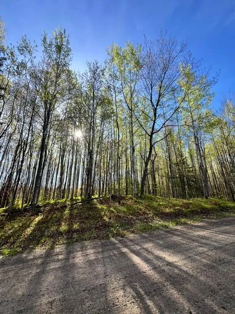 101 Baich Drive Coleraine, MN 55722