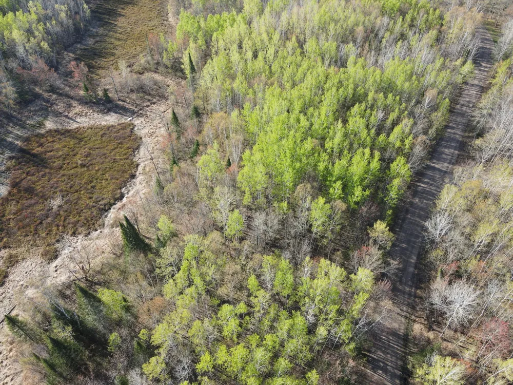 101 Baich Drive Coleraine, MN 55722