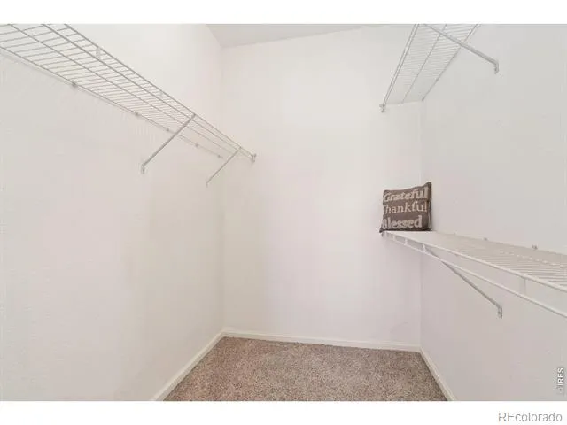 5620 Fossil Creek Parkway #8204 Fort Collins, CO 80525