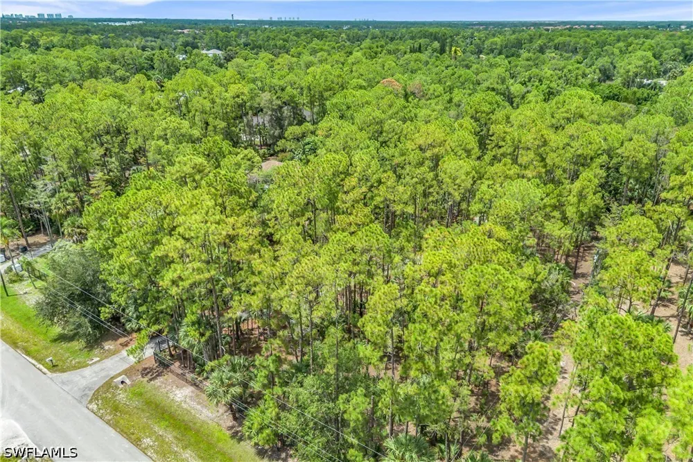 Golden Oaks Lane Naples, FL 34119