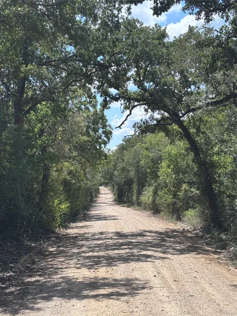10 County Road 413