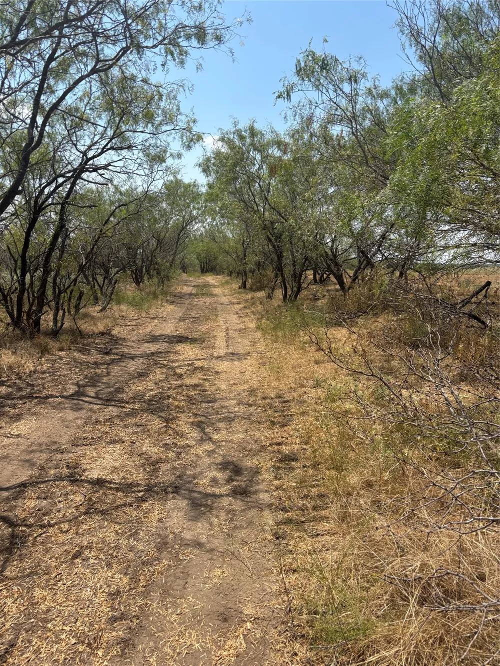 10 County Road 413 Thorndale, TX 76577