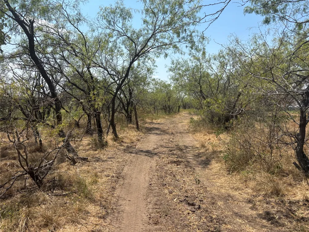 10 County Road 413 Thorndale, TX 76577