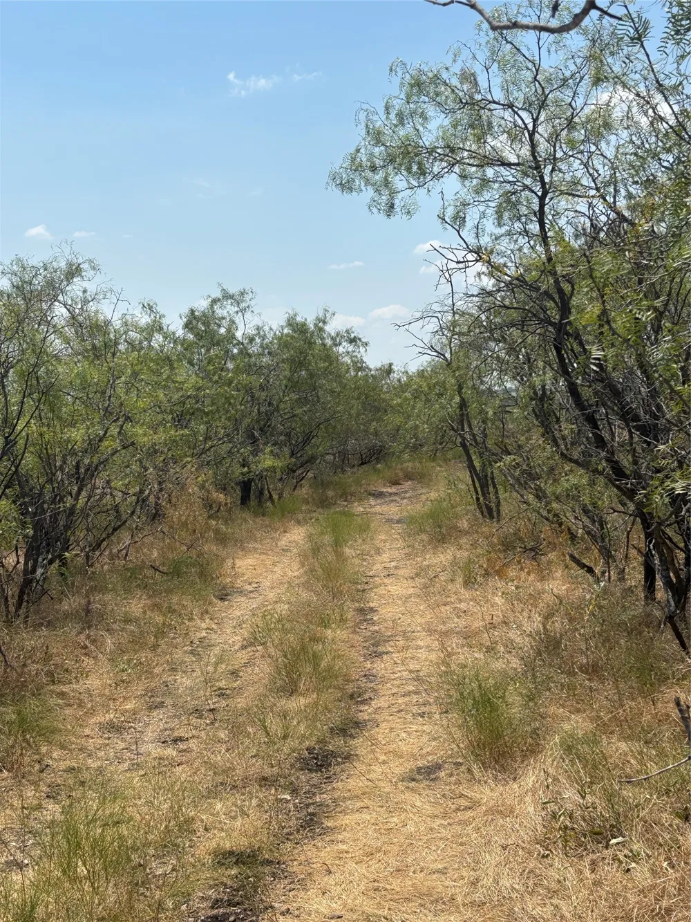 10 County Road 413 Thorndale, TX 76577