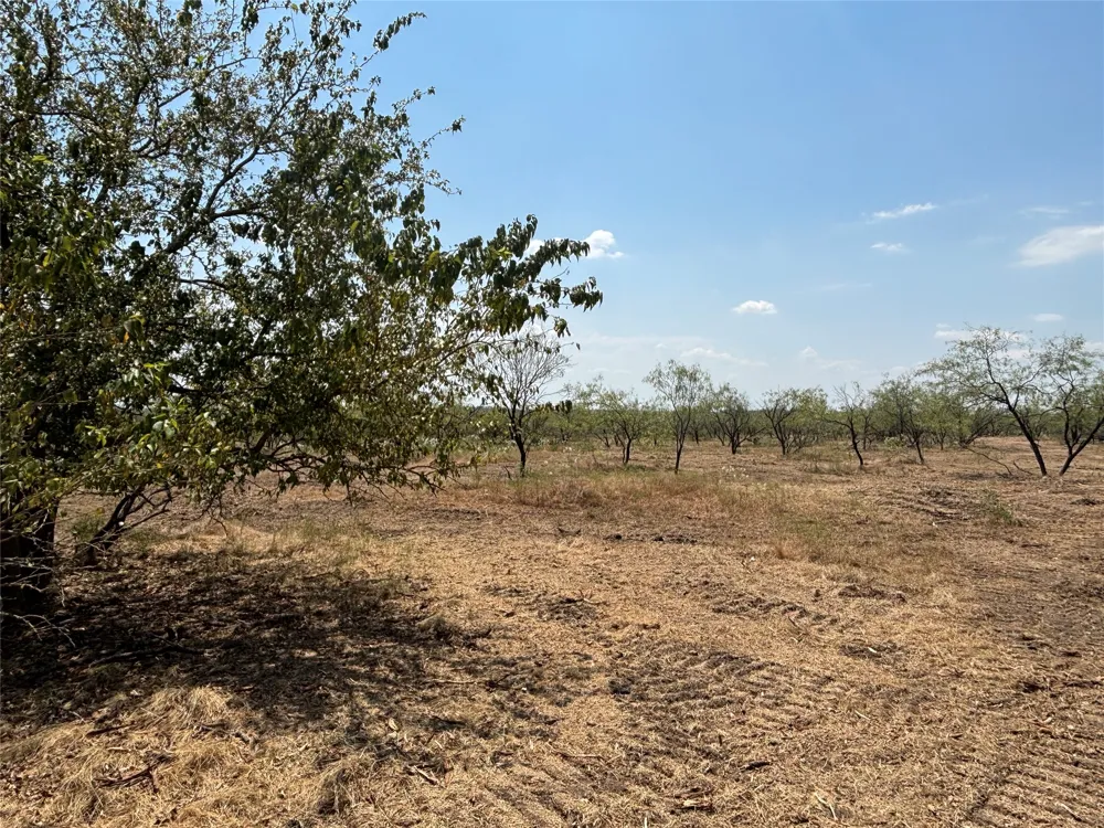 10 County Road 413 Thorndale, TX 76577