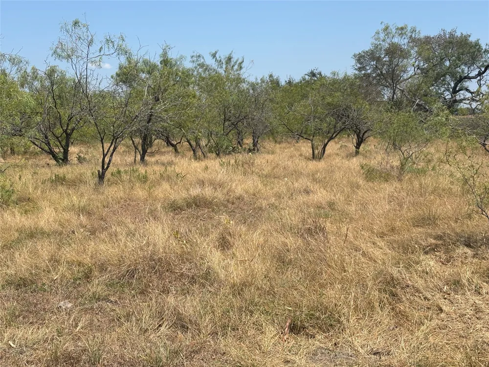10 County Road 413 Thorndale, TX 76577