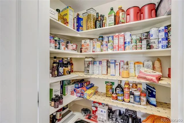 407 Balsa Drive Castle Rock, CO 80104