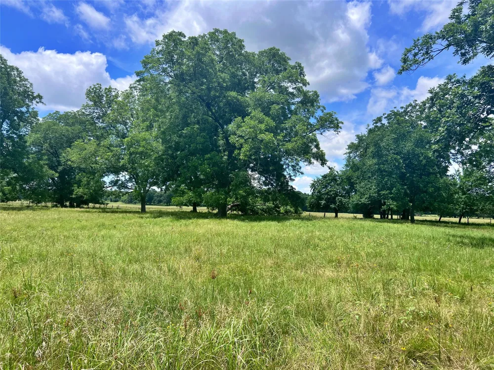 695 County Road 1210 Lake Creek, TX 75450