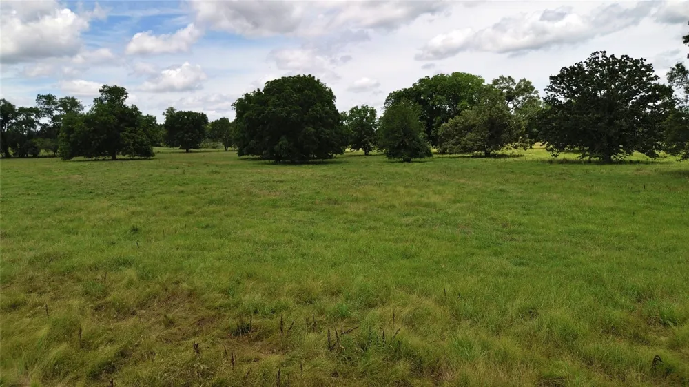 695 County Road 1210 Lake Creek, TX 75450