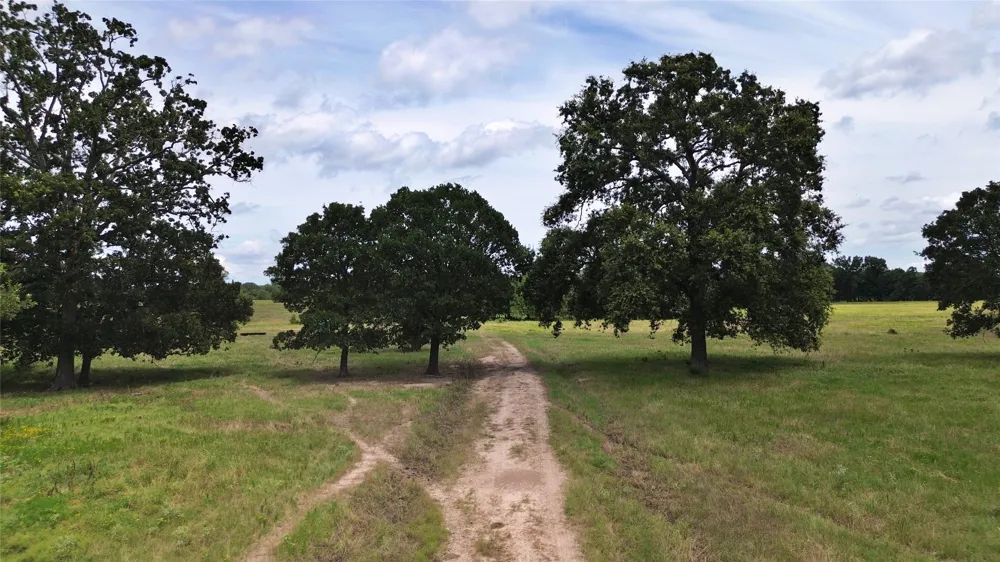 695 County Road 1210 Lake Creek, TX 75450