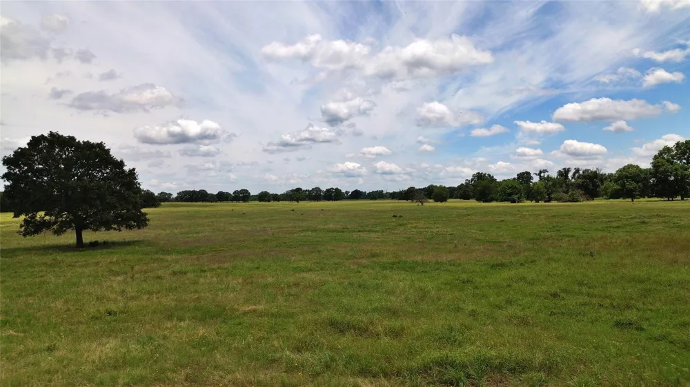 695 County Road 1210 Lake Creek, TX 75450