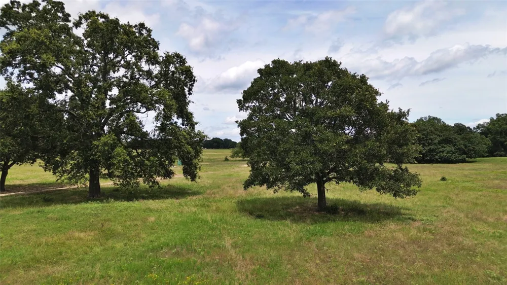 695 County Road 1210 Lake Creek, TX 75450