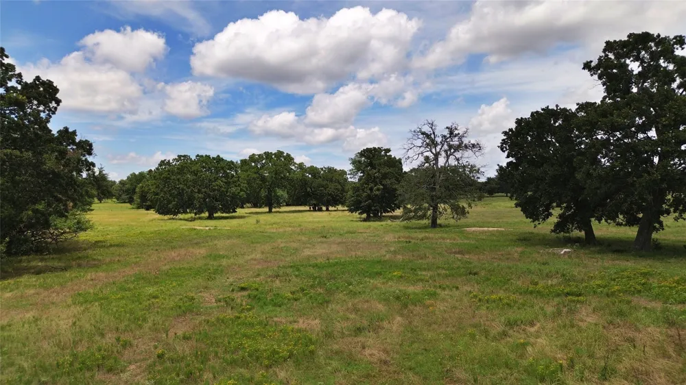 695 County Road 1210 Lake Creek, TX 75450