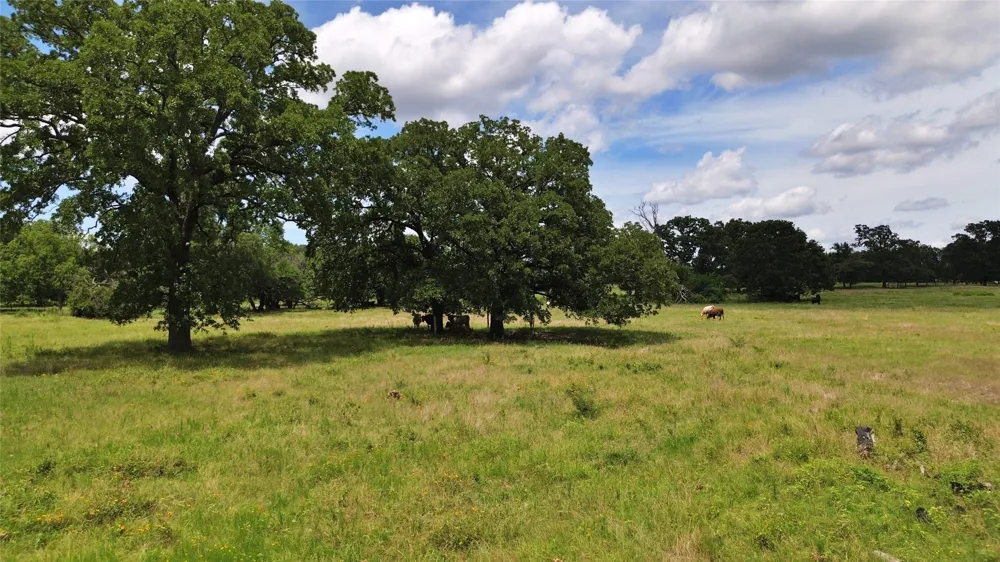 695 County Road 1210 Lake Creek, TX 75450