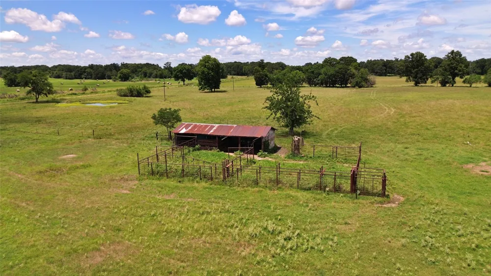 695 County Road 1210 Lake Creek, TX 75450