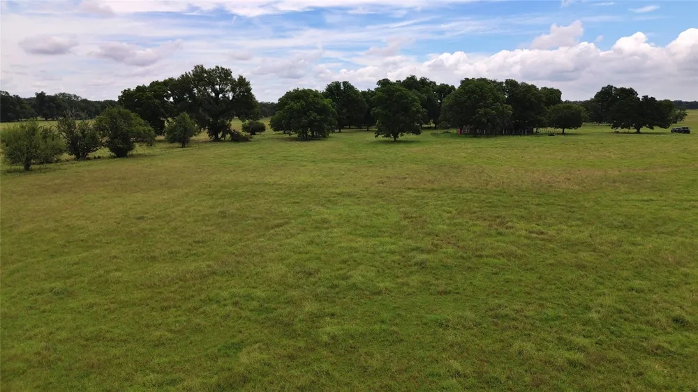 695 County Road 1210 Lake Creek, TX 75450