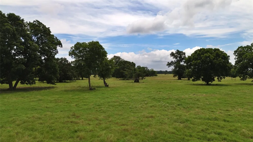 695 County Road 1210 Lake Creek, TX 75450