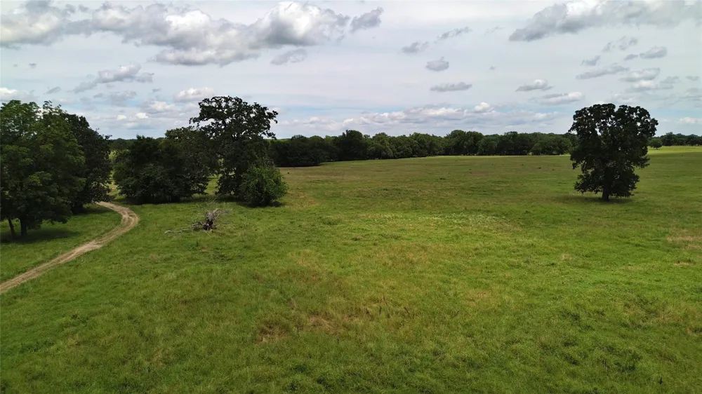 695 County Road 1210 Lake Creek, TX 75450