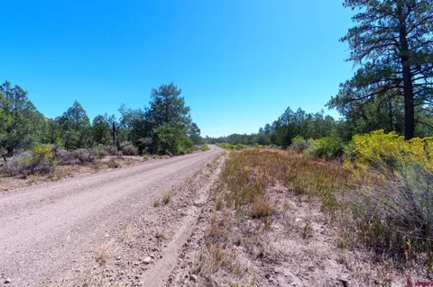 Budd Road