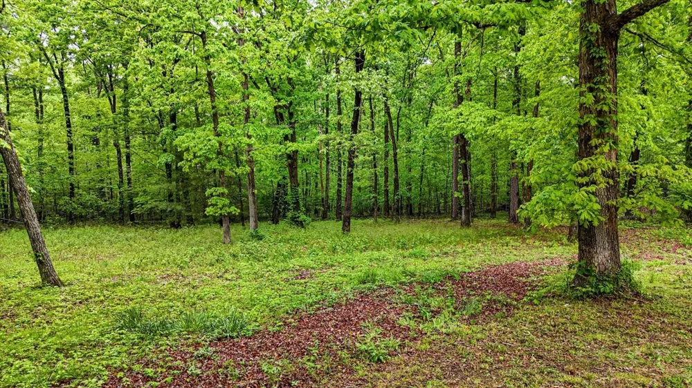6301 Forest Park Drive Signal Mountain, TN 37377