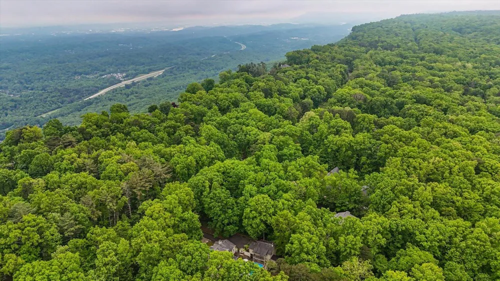 6301 Forest Park Drive Signal Mountain, TN 37377