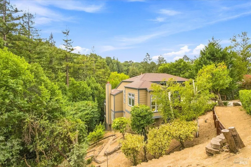 61 Terrace Avenue San Rafael, CA 94901