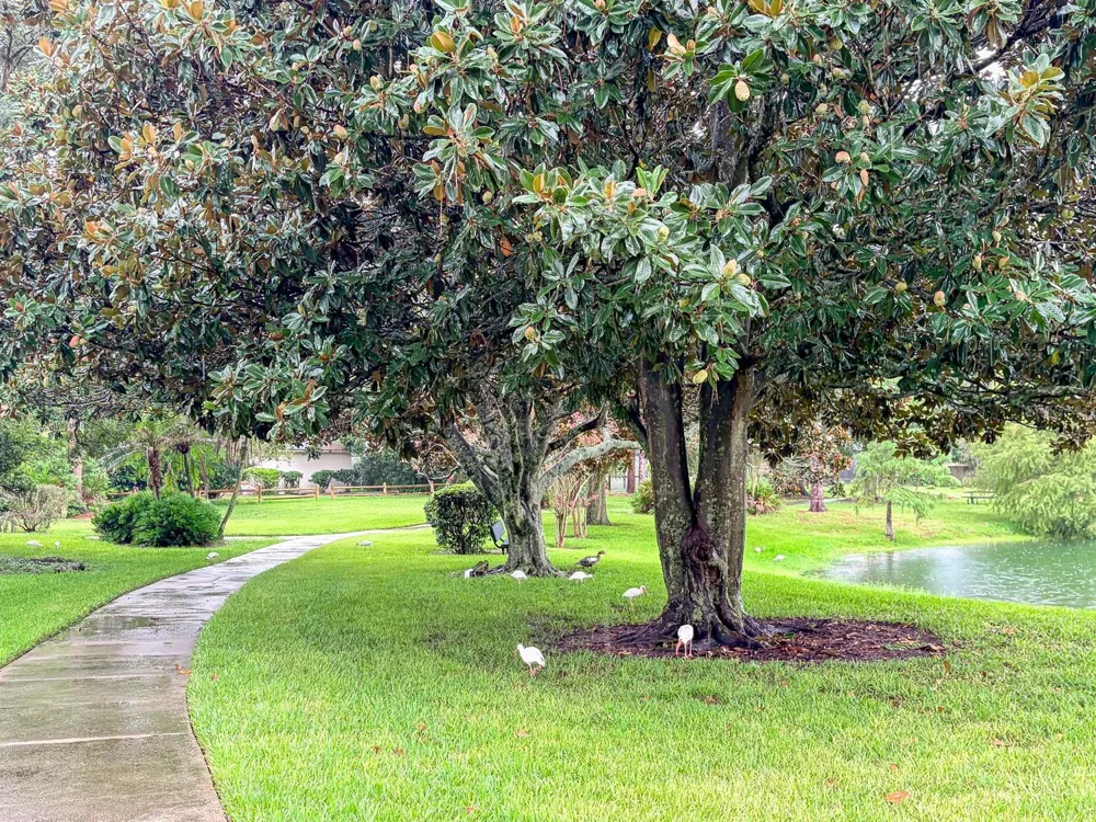 116 BEAUFORT DRIVE Longwood, FL 32779