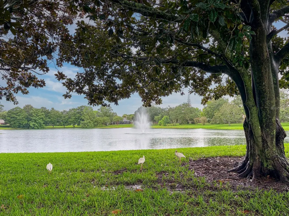 116 BEAUFORT DRIVE Longwood, FL 32779