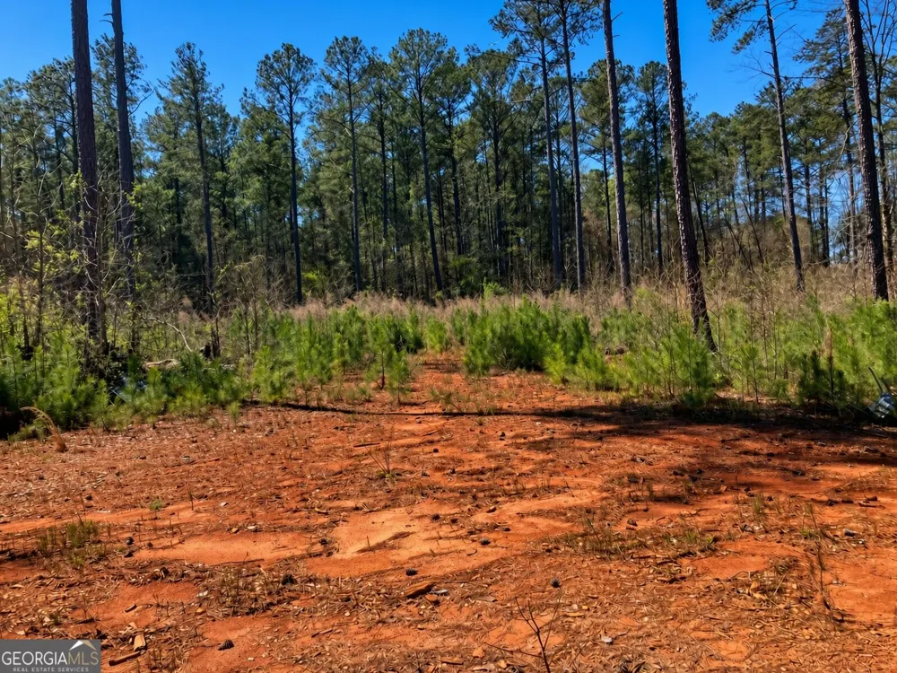 2920 Airline RD McDonough, GA 30252