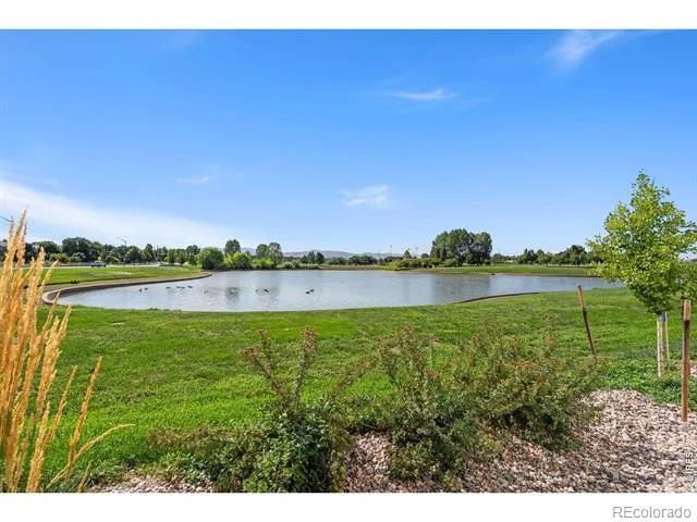 5561 Wheelhouse Way #1 Fort Collins, CO 80528
