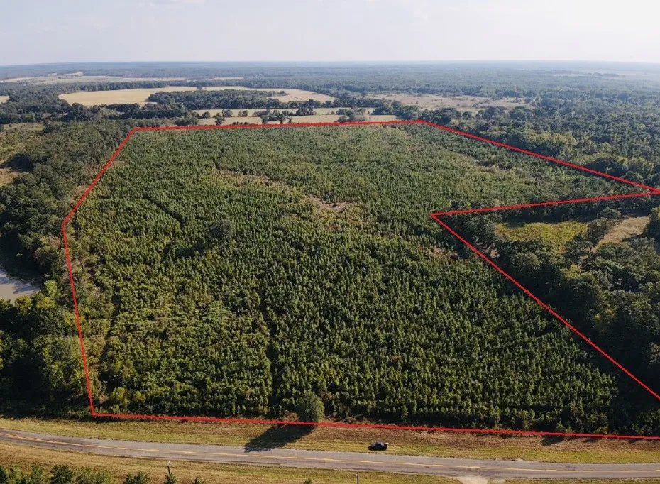 FM 410 Detroit, TX 75436