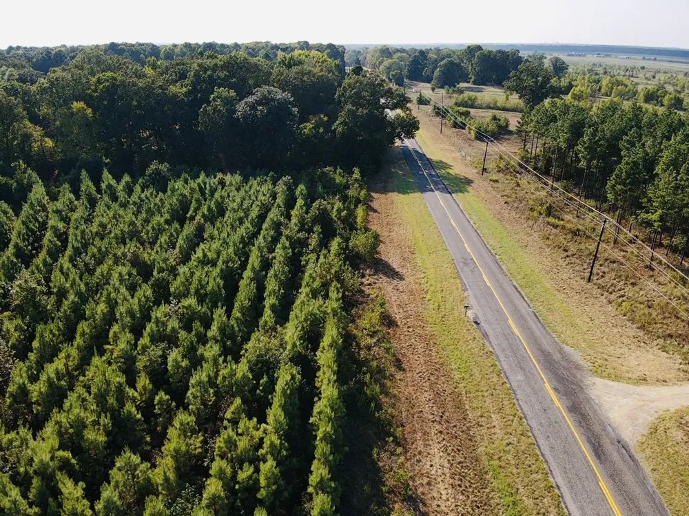 FM 410 Detroit, TX 75436