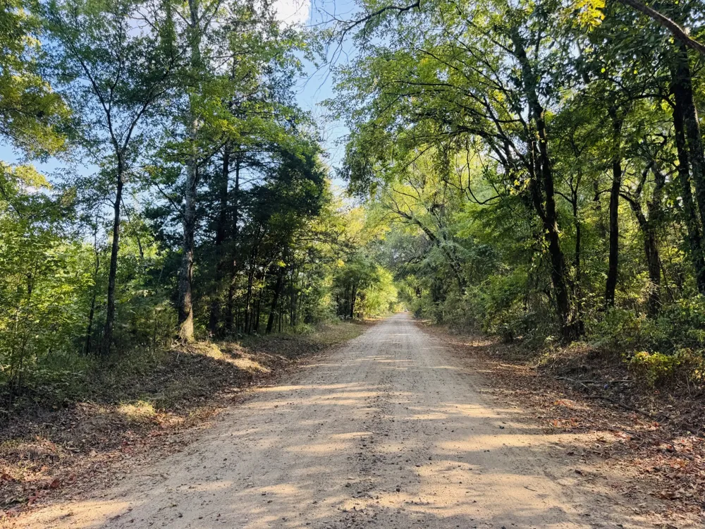 FM 410 Detroit, TX 75436