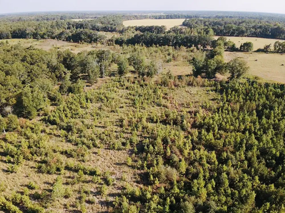 FM 410 Detroit, TX 75436