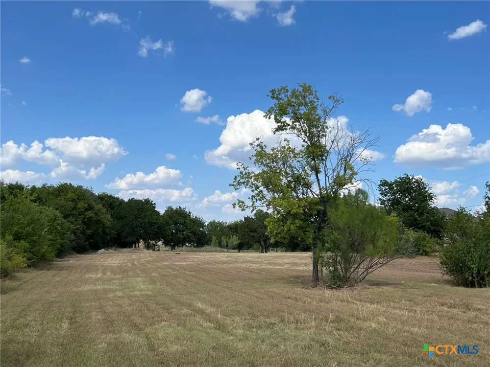 4401 W Stan Schlueter Loop Killeen, TX 76549