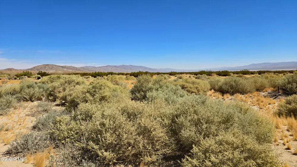 Cholla Rd Cantil, CA 93519