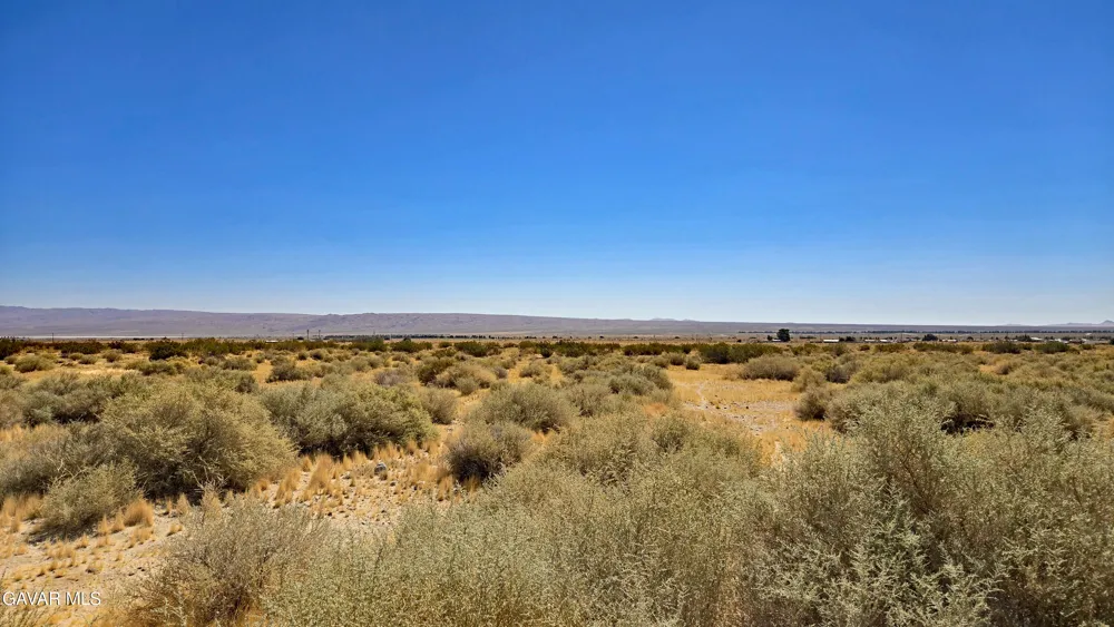 Cholla Rd Cantil, CA 93519