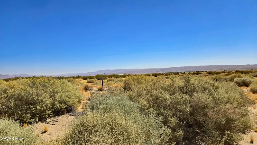 Cholla Rd Cantil, CA 93519