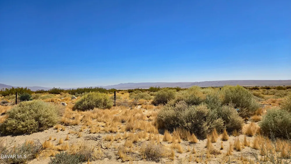 Cholla Rd Cantil, CA 93519