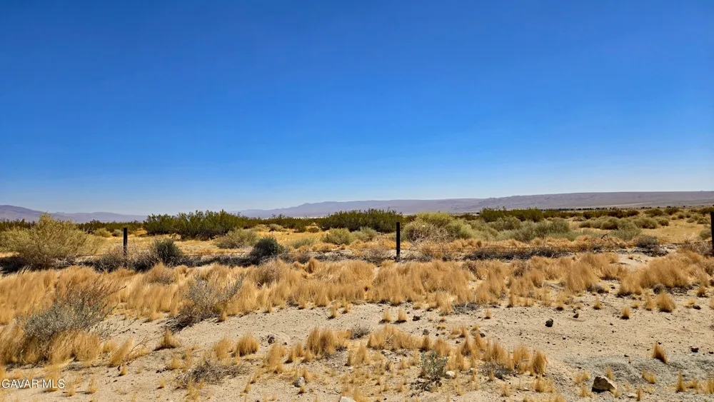 Cholla Rd Cantil, CA 93519
