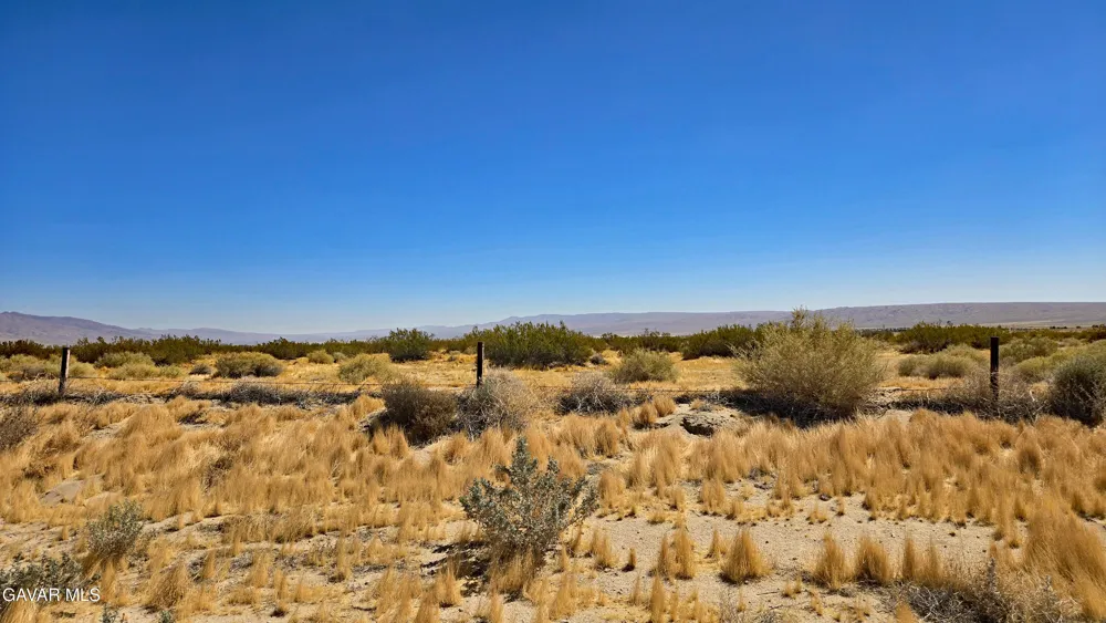 Cholla Rd Cantil, CA 93519