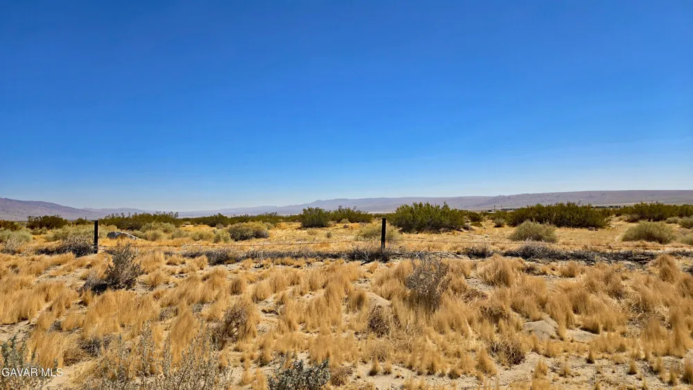 Cholla Rd Cantil, CA 93519