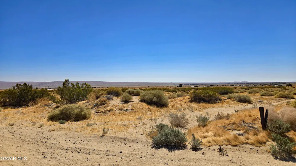 Cholla Rd Cantil, CA 93519