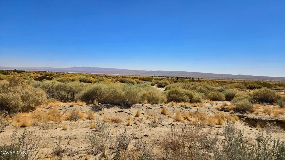 Cholla Rd Cantil, CA 93519