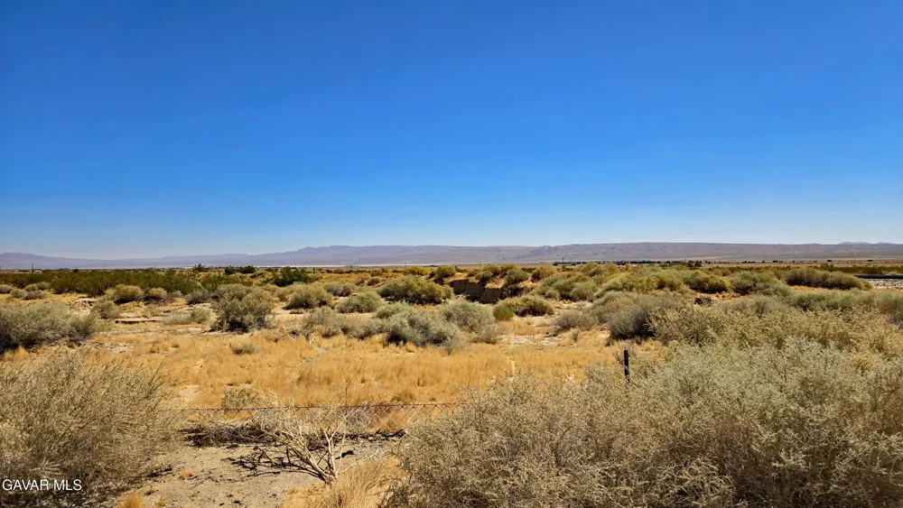 Cholla Rd Cantil, CA 93519