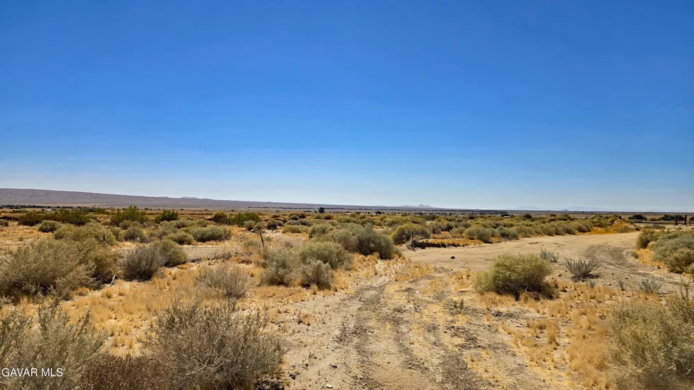 Cholla Rd Cantil, CA 93519