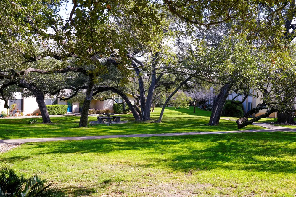 5326 Balcones Drive #D Austin, TX 78731