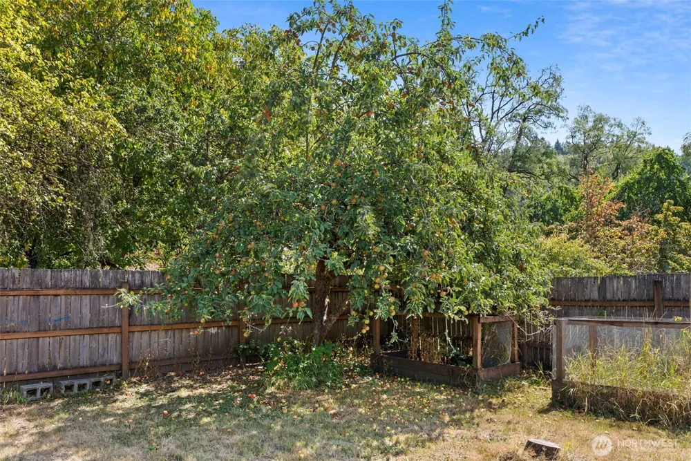 118 Buckner Street Centralia, WA 98531