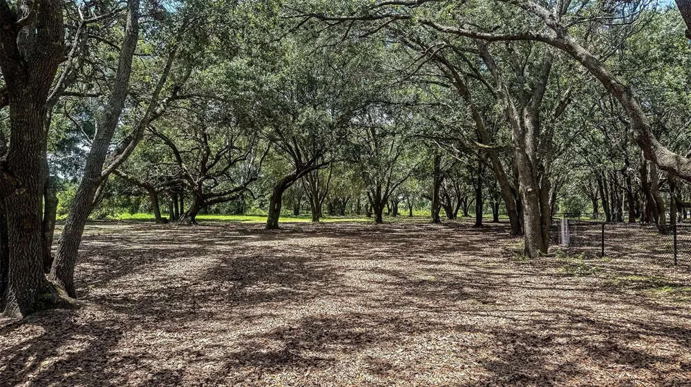 7760 CLOUDBURST DRIVE Groveland, FL 34736
